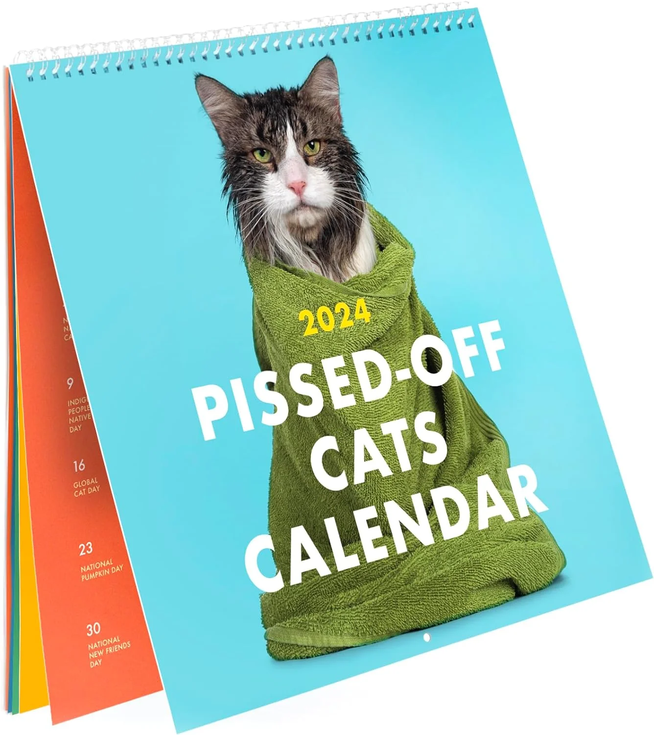 2025 Pissed-Off Cats Calendar - Image 2