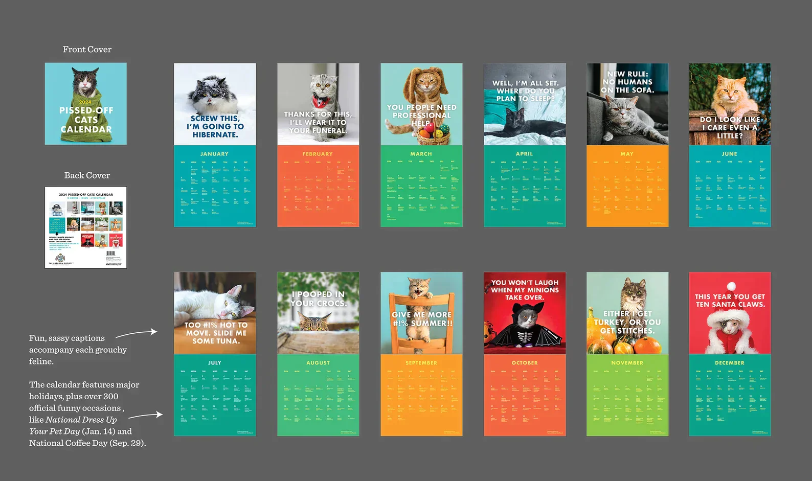 2025 Pissed-Off Cats Calendar - Image 5