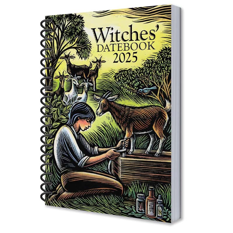 2025 Witches' Datebook - Image 11