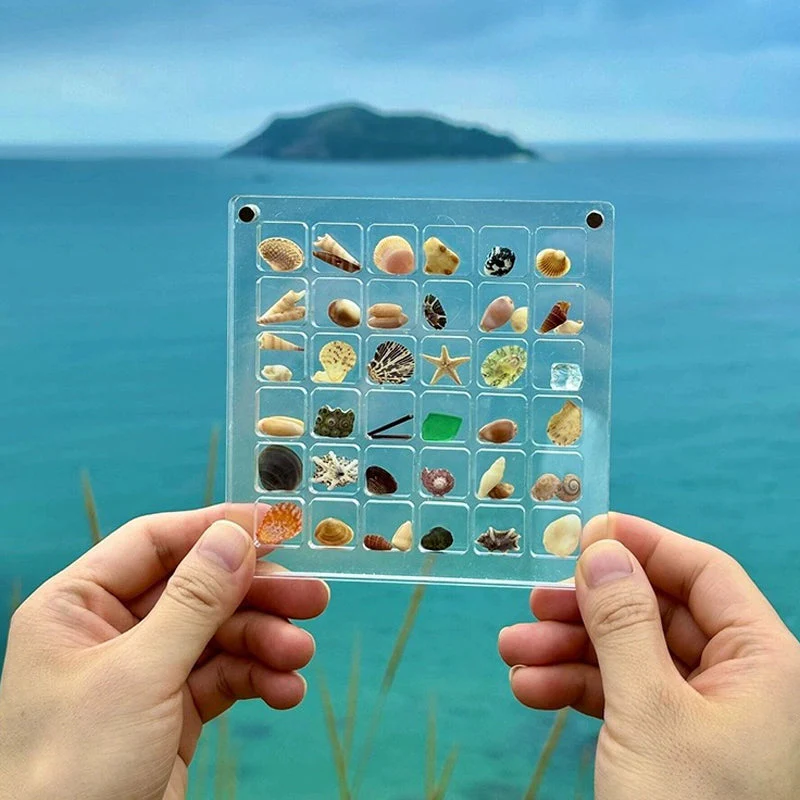 Acrylic Magnetic Seashell Display Box - Image 10
