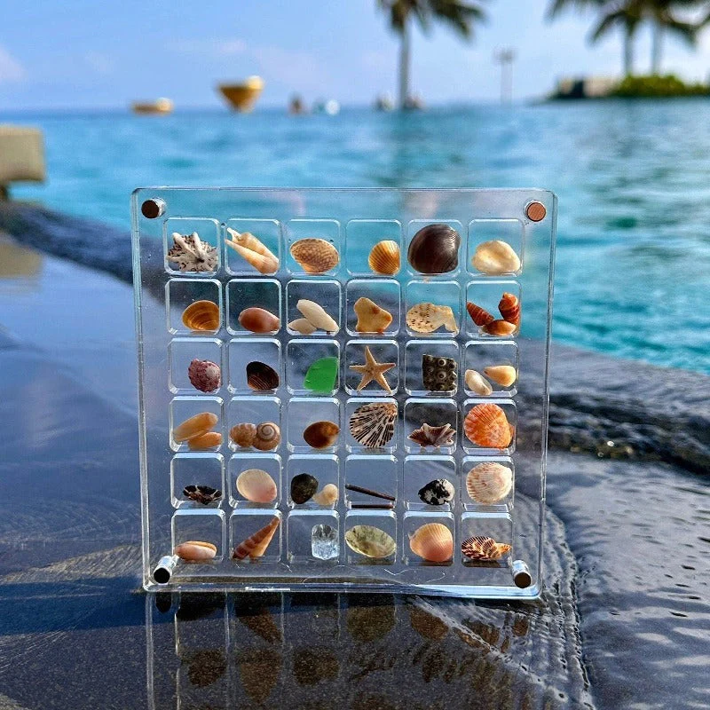 Acrylic Magnetic Seashell Display Box - Image 12