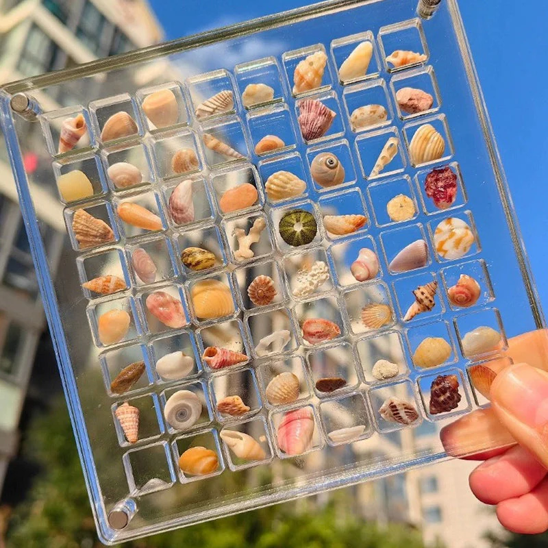Acrylic Magnetic Seashell Display Box - Image 5