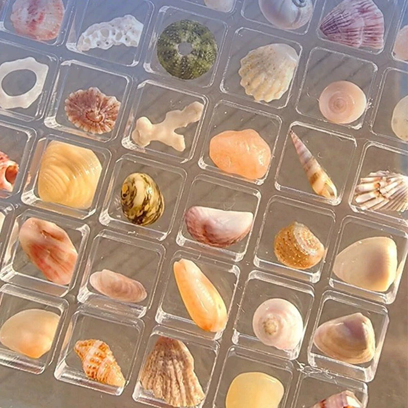 Acrylic Magnetic Seashell Display Box - Image 8