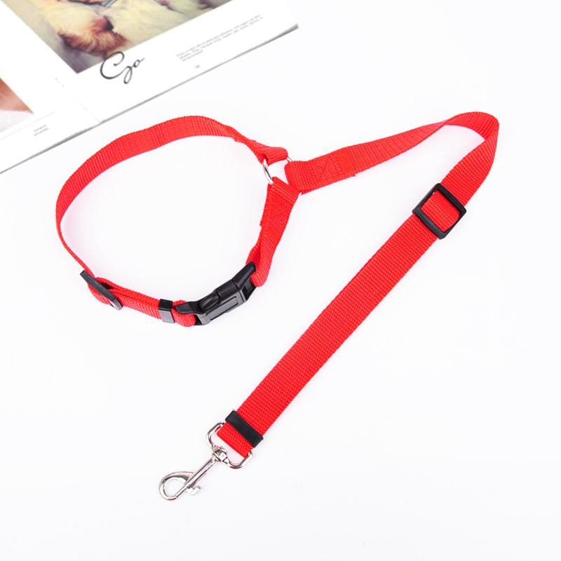 Adjustable Car Dog Leash - Image 10