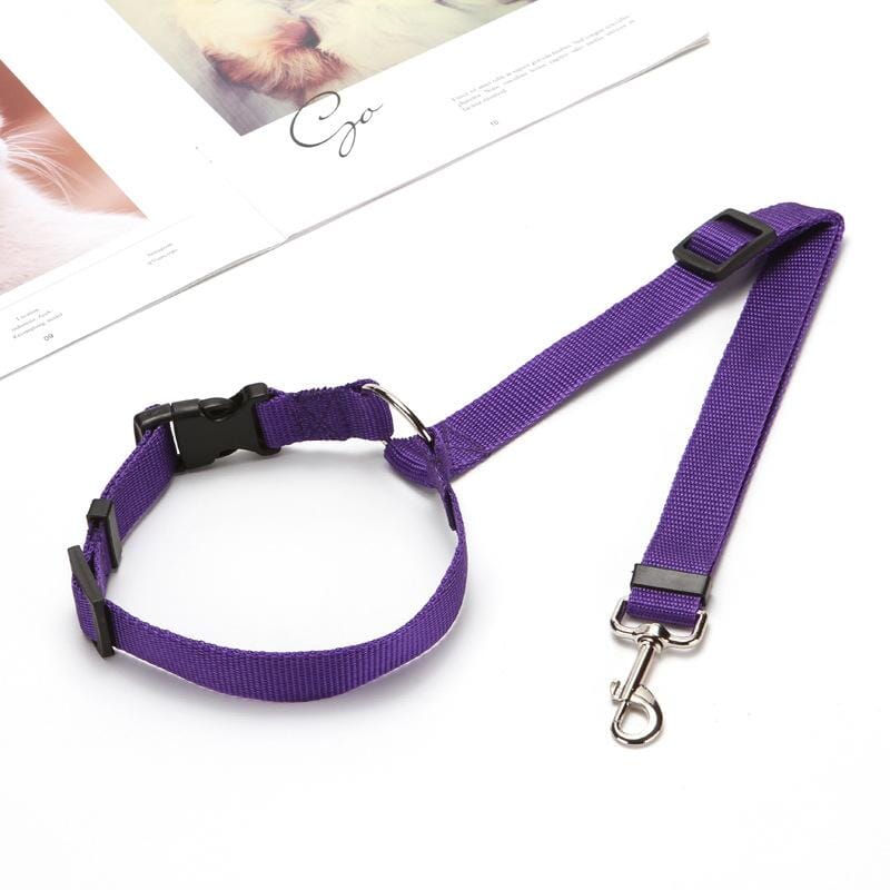 Adjustable Car Dog Leash - Image 12