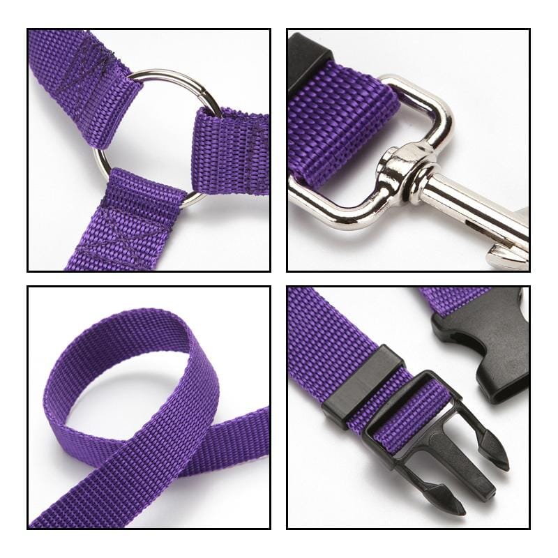 Adjustable Car Dog Leash - Image 7
