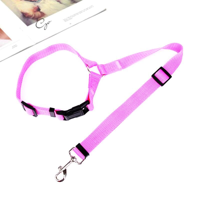 Adjustable Car Dog Leash - Image 8