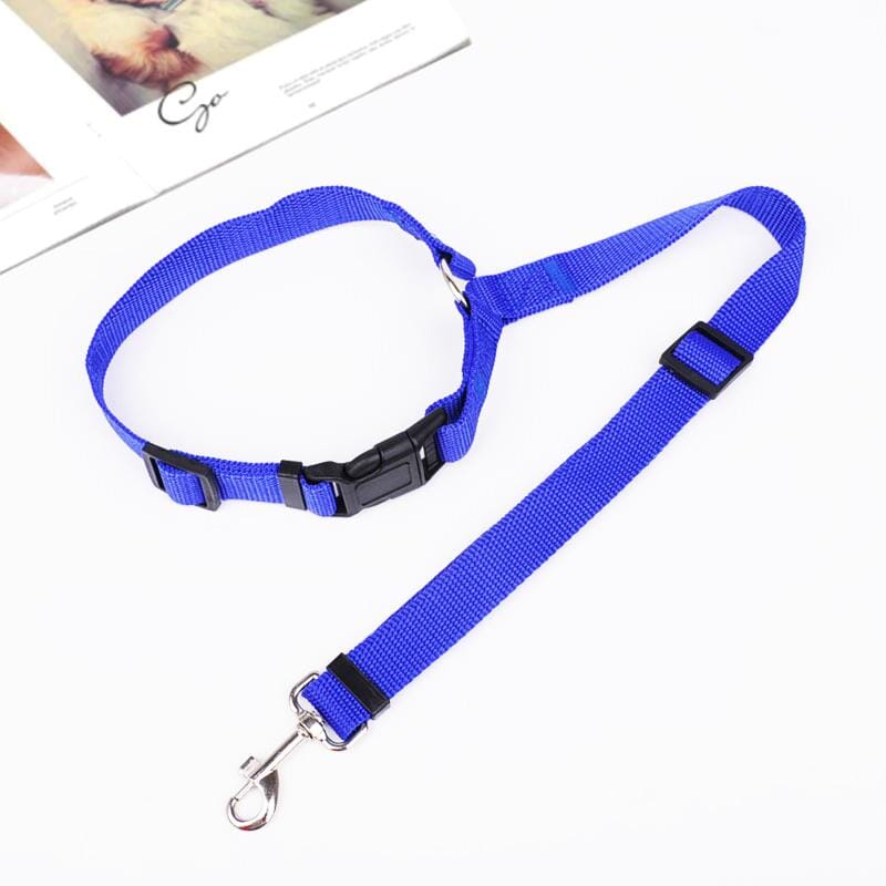 Adjustable Car Dog Leash - Image 9