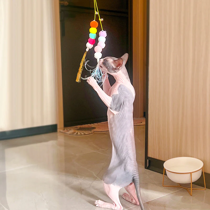 Adjustable Hanging Cat Toy - Image 5