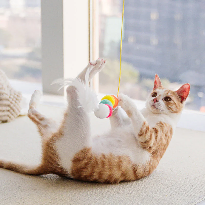 Adjustable Hanging Cat Toy - Image 6