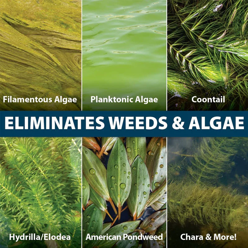 Algae Repellent Agent - Image 5