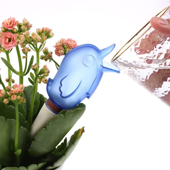 Automatic Little Bird Watering Device - Image 10