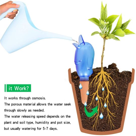 Automatic Little Bird Watering Device - Image 12