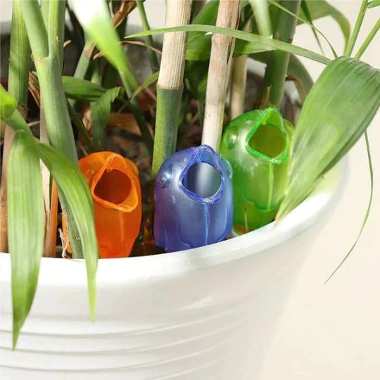 Automatic Little Bird Watering Device - Image 3