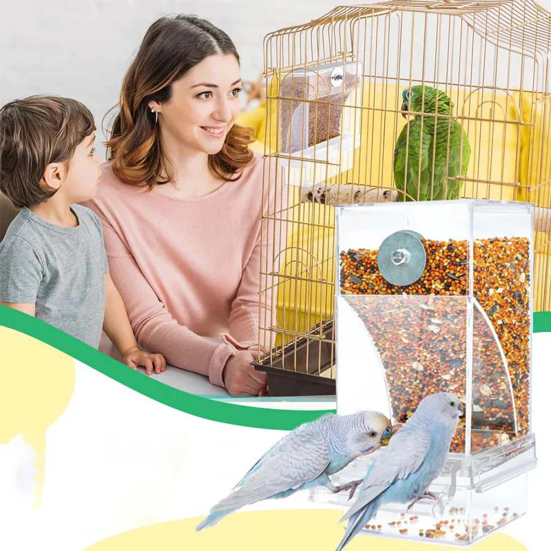 Automatic No-Spill Transparent Bird Feeder - Image 14