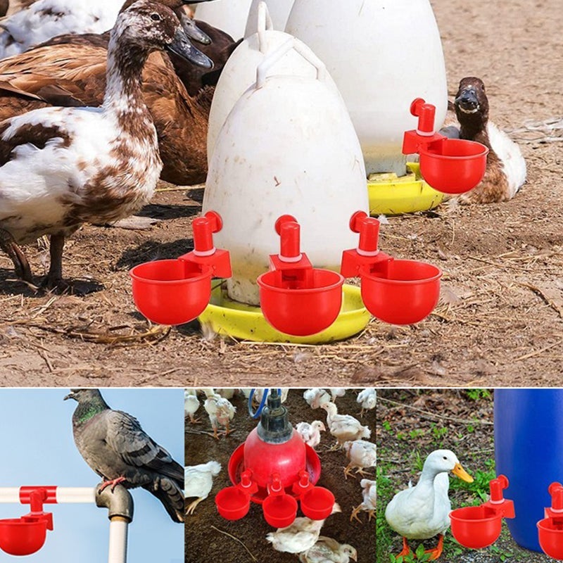 Automatic Poultry Waterer - Image 2