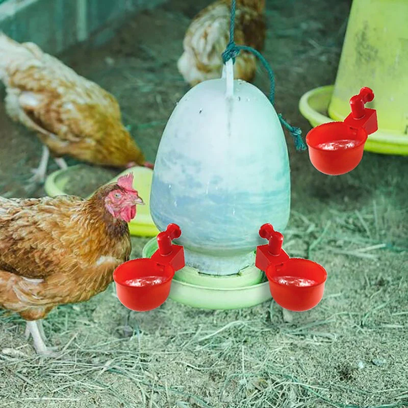 Automatic Poultry Waterer - Image 3