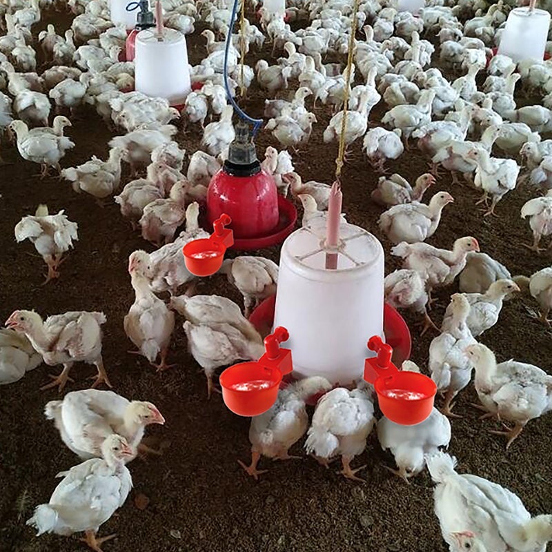 Automatic Poultry Waterer - Image 4