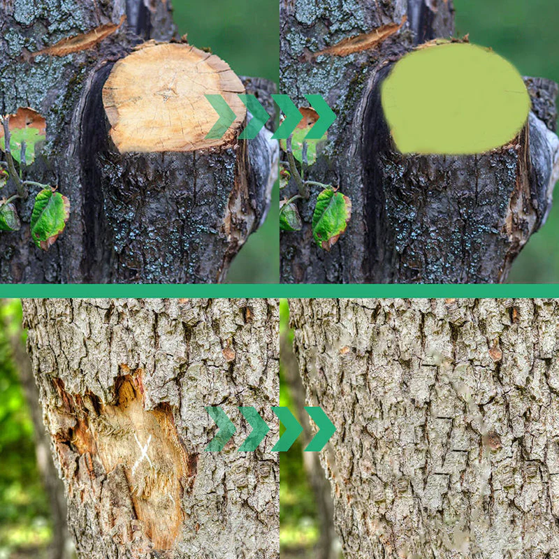 Big tree wound healing agent - Image 10
