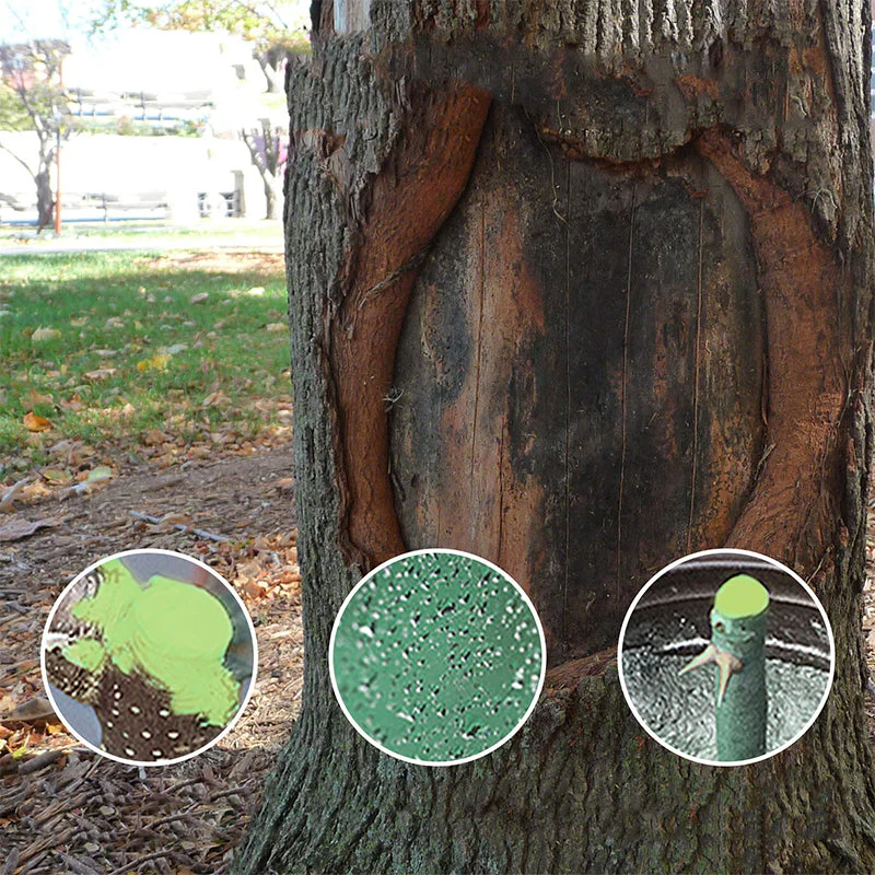Big tree wound healing agent - Image 9