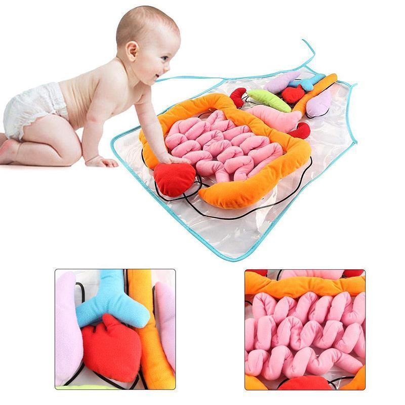 Body Anatomy Apron - An Educational Toy for Children - Image 4