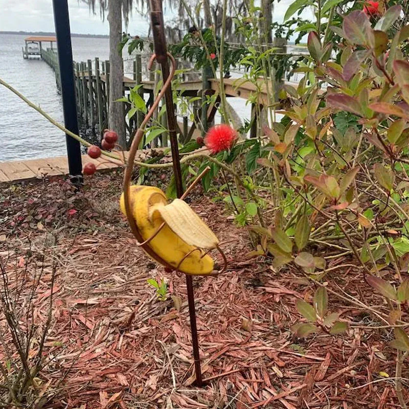 Butterfly Banana Hammock-Butterfly Feeder - Image 3