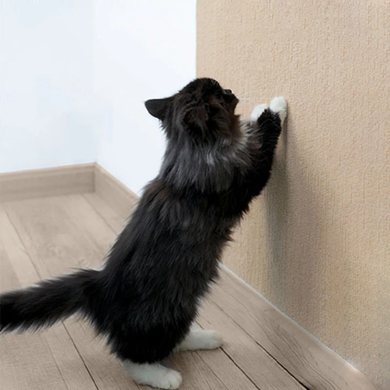 Cat Scratching Mat - Image 7