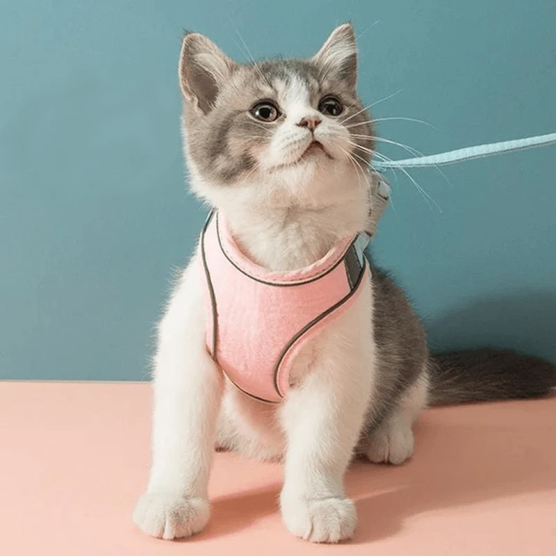 Cat Vest Harness and Leash Set - Image 2