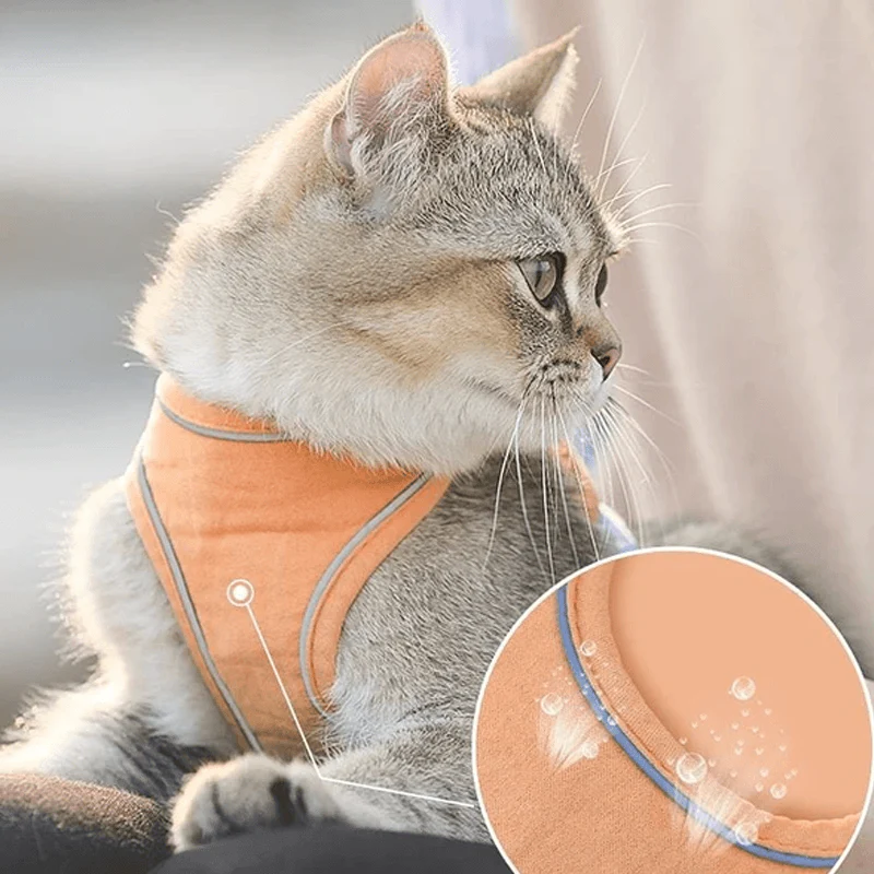 Cat Vest Harness and Leash Set - Image 4