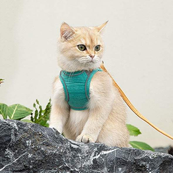 Cat Vest Harness and Leash Set - Image 6