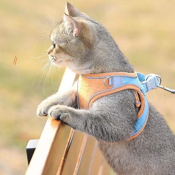 Cat Vest Harness and Leash Set - Image 7