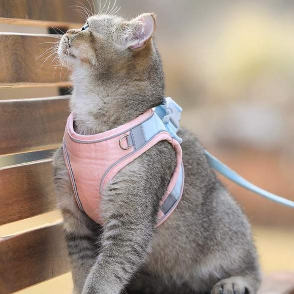 Cat Vest Harness and Leash Set - Image 8