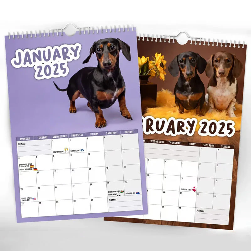 Cheeky Dachshunds - 2025 Wall Calendar - Image 2
