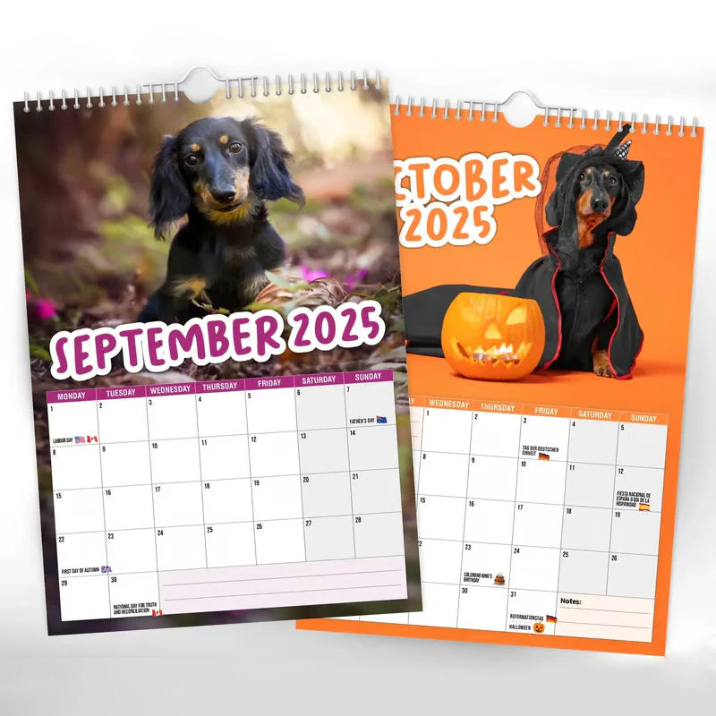 Cheeky Dachshunds - 2025 Wall Calendar - Image 3