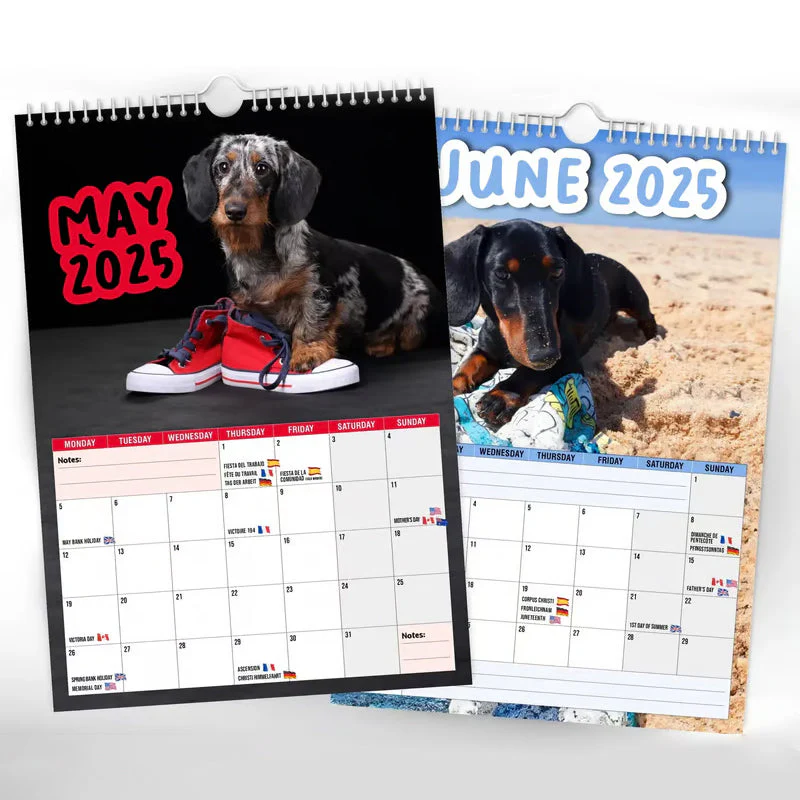 Cheeky Dachshunds - 2025 Wall Calendar - Image 4