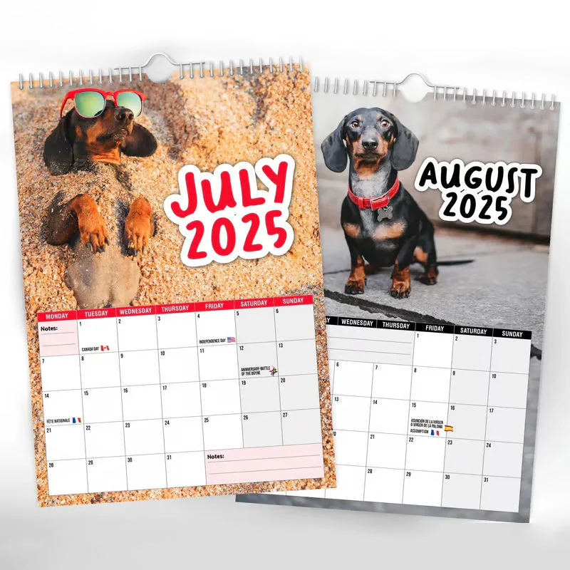 Cheeky Dachshunds - 2025 Wall Calendar - Image 5