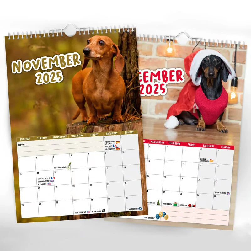 Cheeky Dachshunds - 2025 Wall Calendar - Image 6