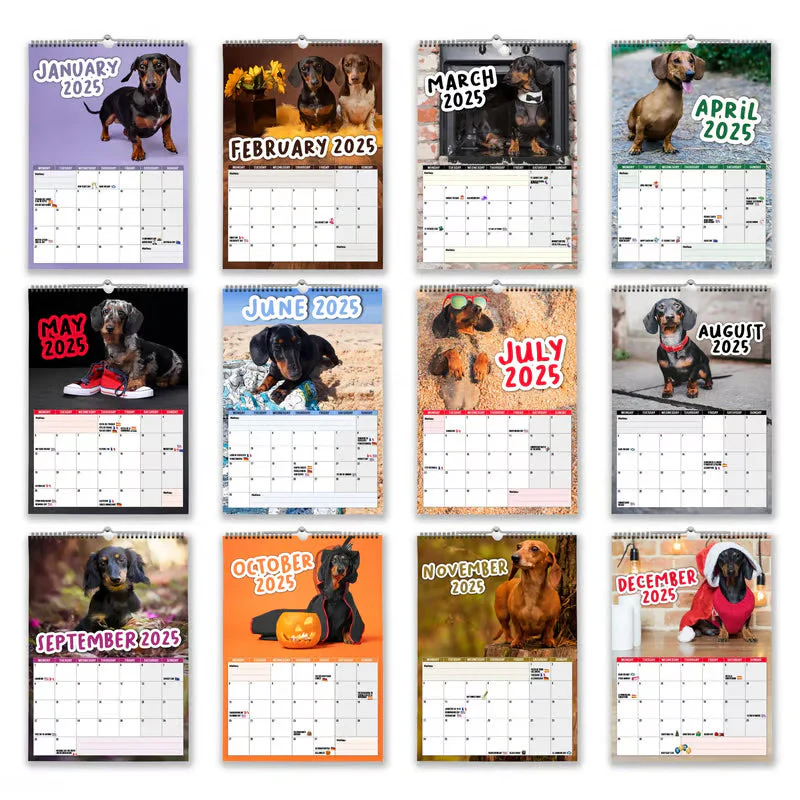 Cheeky Dachshunds - 2025 Wall Calendar - Image 7