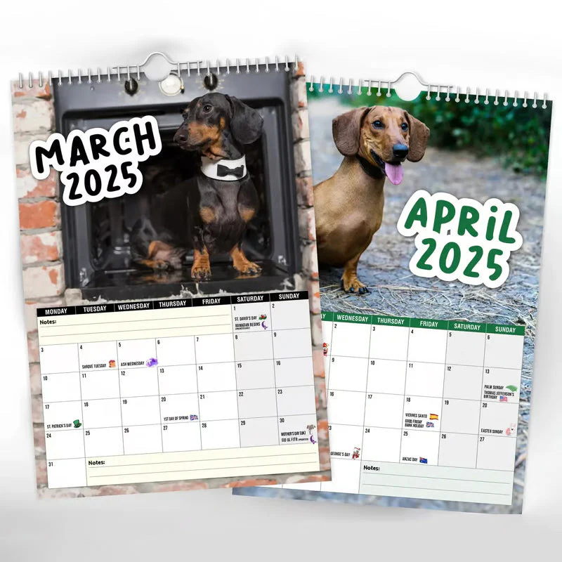 Cheeky Dachshunds - 2025 Wall Calendar - Image 8