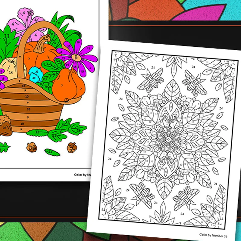 Color By Number Coloring Book for Adults - Image 10