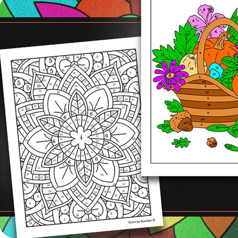 Color By Number Coloring Book for Adults - Image 9
