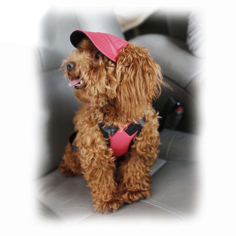 Creative Pet Hats - Image 2