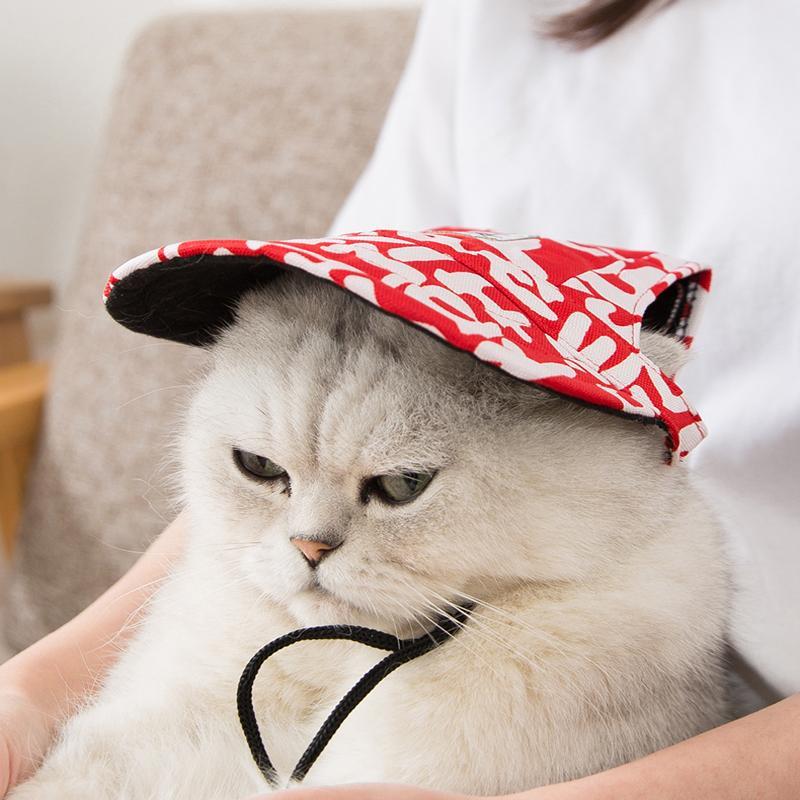 Creative Pet Hats - Image 3