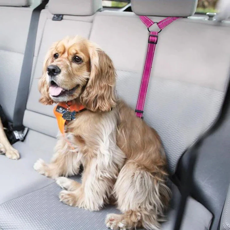 Dog Car Seat Belt - Image 3