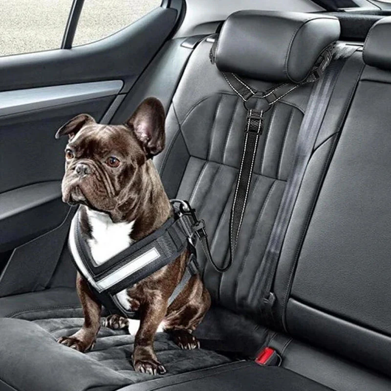 Dog Car Seat Belt - Image 4