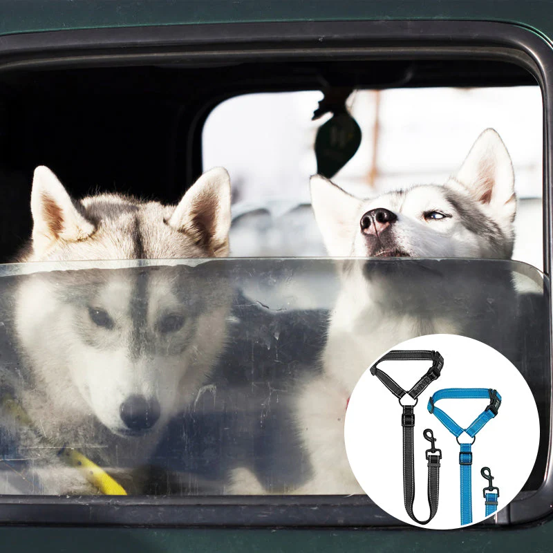 Dog Car Seat Belt - Image 5