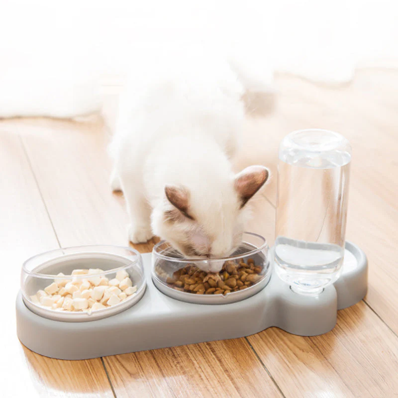 DOG CAT BOWL FEEDER - Image 6