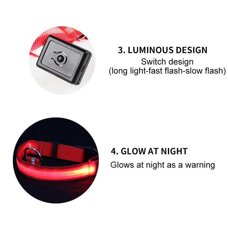 DOG LED COLLARS - Image 5