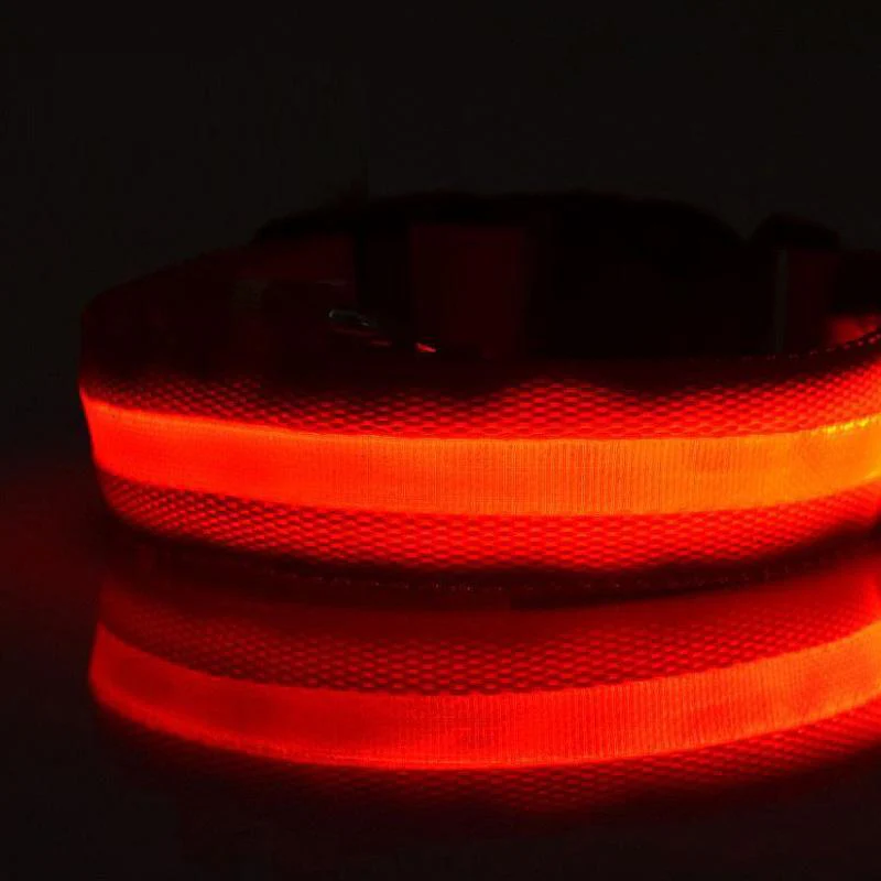 DOG LED COLLARS - Image 8