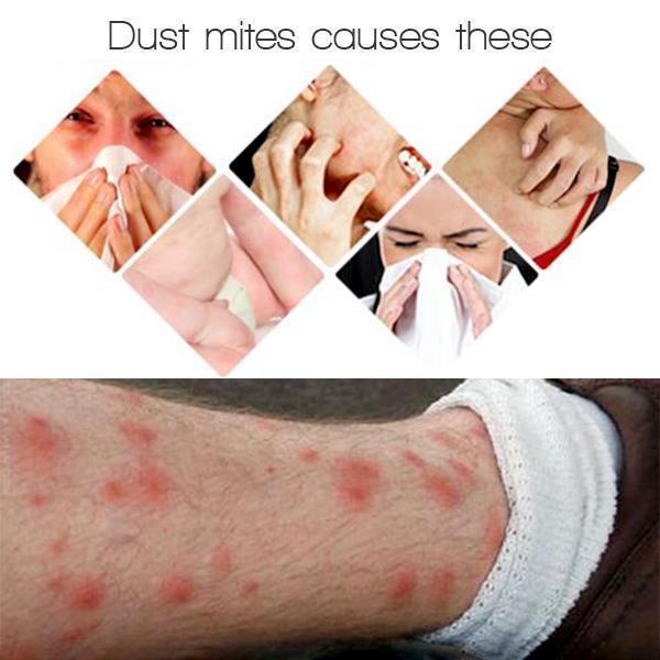 Dust Mite Killing Pad - Image 3